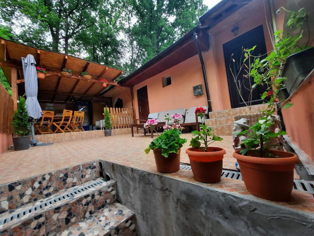 Casa De Vacanta Emd Ieşelniţa Exteriér fotografie