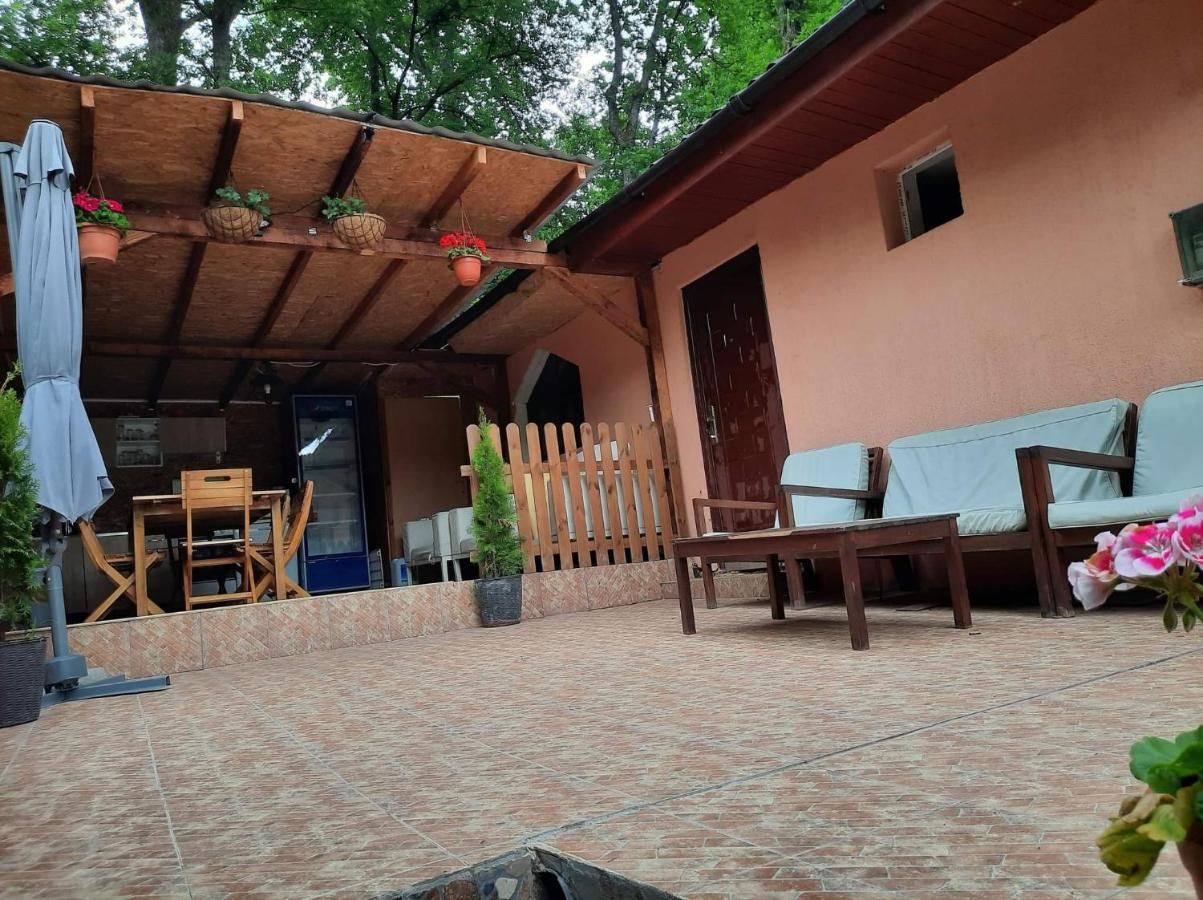 Casa De Vacanta Emd Ieşelniţa Exteriér fotografie