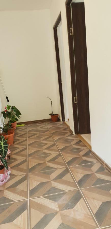Casa De Vacanta Emd Ieşelniţa Exteriér fotografie